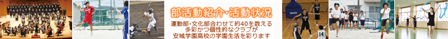 Angaku News